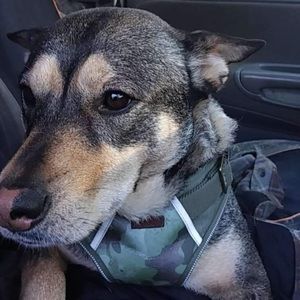 Meet your Posher, Ashleigh